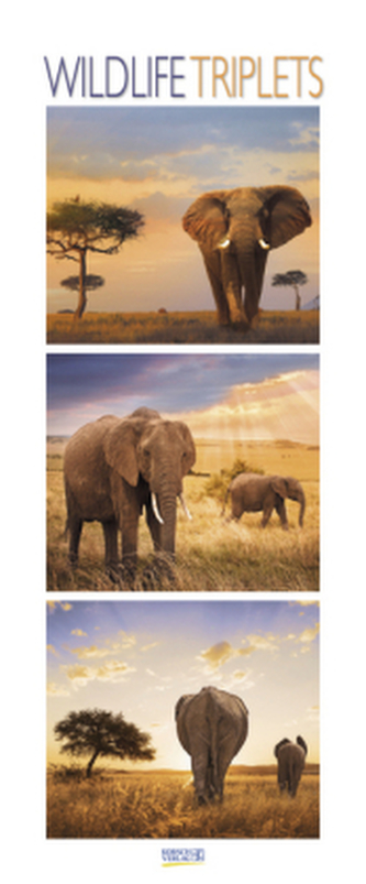 Wildlife Triplets 2019