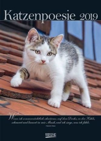 Katzenpoesie 2019