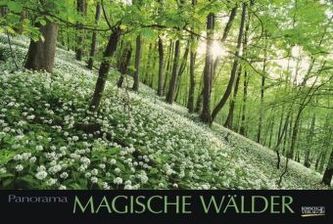 Magische Wälder 2019