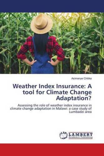 Weather Index Insurance: A tool for Climate Change Adaptation?