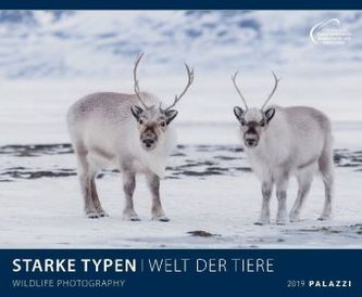 Starke Typen 2019