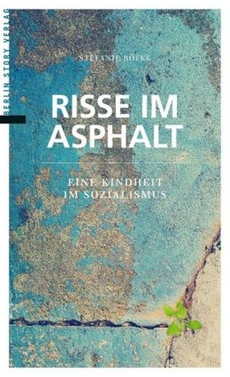 Risse im Asphalt