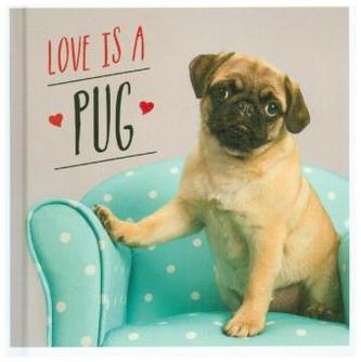 Love is a Pug