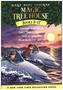 Magic Tree House Volumes 9-12 Boxed Set, 4 Teile