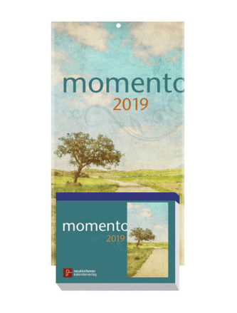 momento 2019