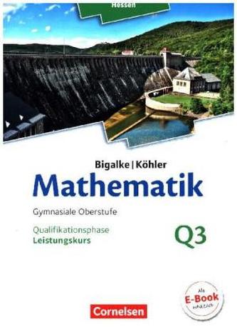Leistungskurs - 3. Halbjahr - Qualifikationsphase