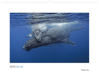Blue 2019 Blue 2019