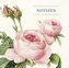 Notizbuch Rose