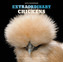 Extraordinary Chickens 2019