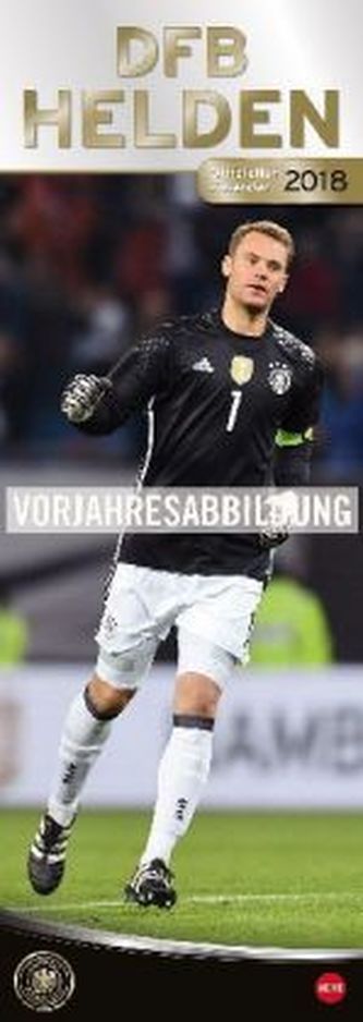 DFB Vertical 2019