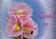 Kalender 2019 - Blumenmotive