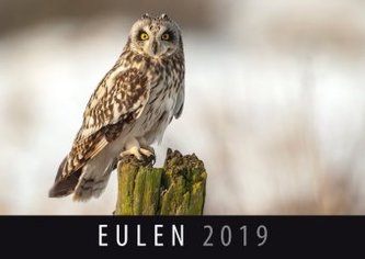 Eulen 2019