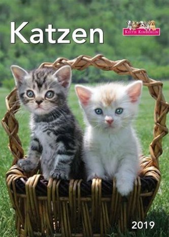 Katzen 2019