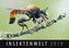 Insektenwelt 2019