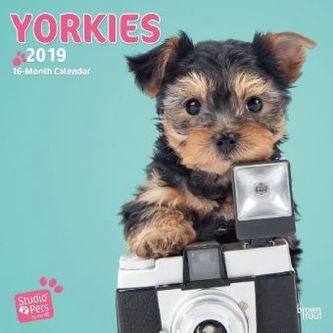 Be my Yorkie 2019