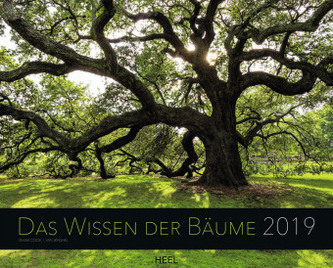 Das Wissen der Bäume 2019