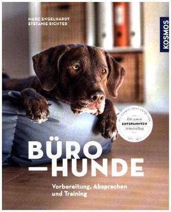 Bürohunde