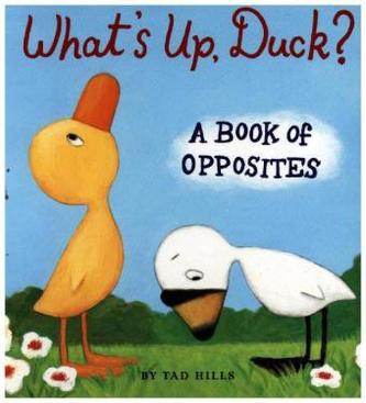 What's Up, Duck?