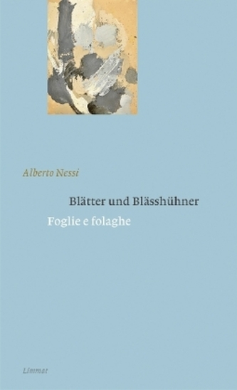 Blätter und Blässhühner / Foglie e folaghe