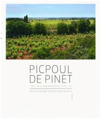 Picpoul de Pinet: The White Mediterranean Vineyards of the Languedoc