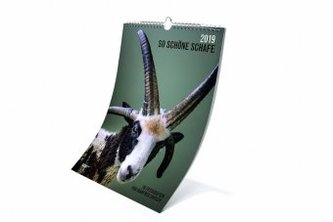 So Schöne Schafe 2019