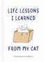 Life Lessons I Learned from my Cat