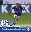 Schalke 04 Sammelkartenkalender 2019