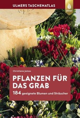 Pflanzen für das Grab Pflanzen für das Grab