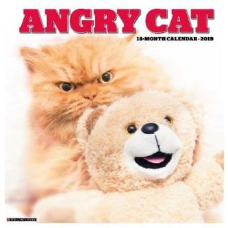 Angry Cat 2019