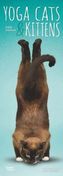 Yoga Cats & Kittens 2019