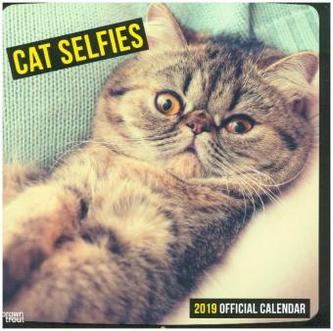 Cat Selfies 2019