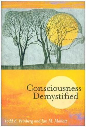 Consciousness Demystified