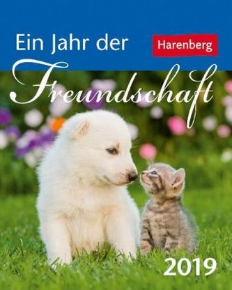 Ein Jahr der Freundschaft 2019