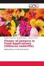 Flower of Jamaica in Food Applications (Hibiscus sadariffa)