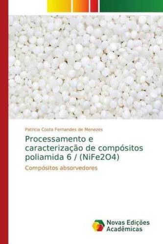 Processamento e caracterização de compósitos poliamida 6 / (NiFe2O4)
