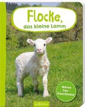 Flocke, das kleine Lamm
