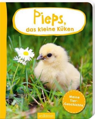 Pieps, das kleine Küken