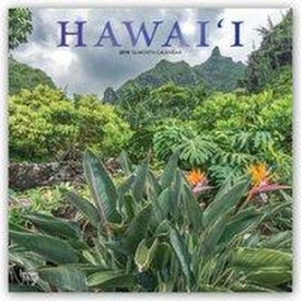 Hawaii 2019 - 18-Monatskalender mit freier TravelDays-App