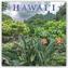 Hawaii 2019 - 18-Monatskalender mit freier TravelDays-App