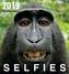 Selfies 2019. Postkartenkalender