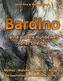 Bardino...eine andere Hundewelt voller Streifen