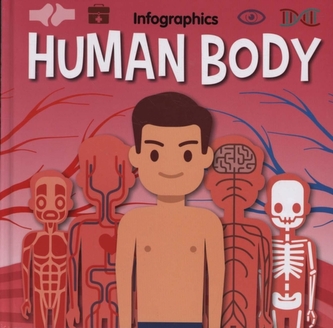 Human Body