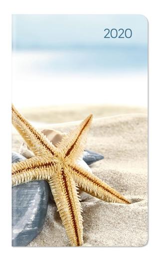 Ladytimer Slim Sea Star 2020