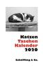 Katzen Taschenkalender 2020