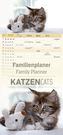 Familienplaner Katzen 2020