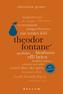 Theodor Fontane. 100 Seiten