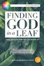 Finding God in a Leaf