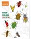 Expedition Natur: Malen, Basteln, Staunen - Insekten