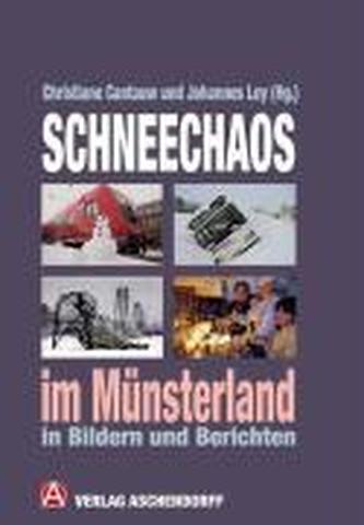 Schneechaos im Münsterland