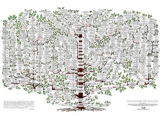 Stammbaum der Medizin. Poster